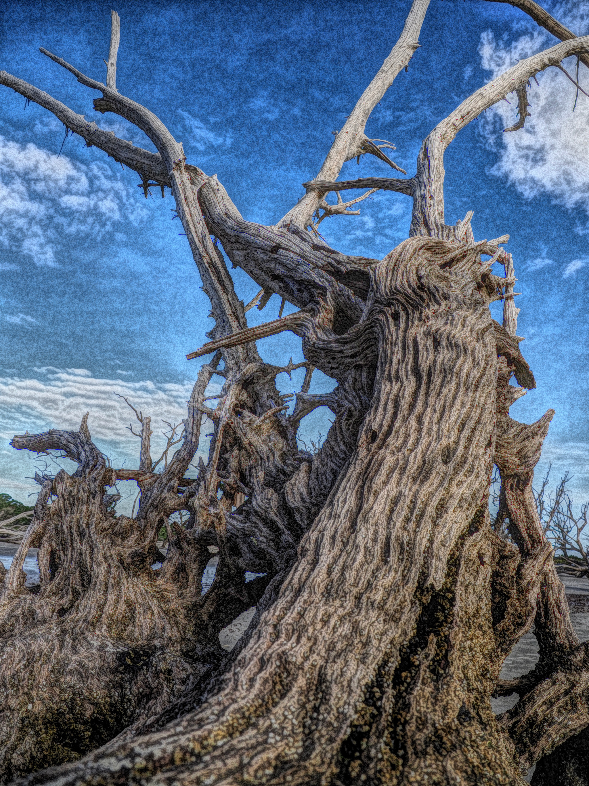 Stylized photo of a dead tree on a beach.