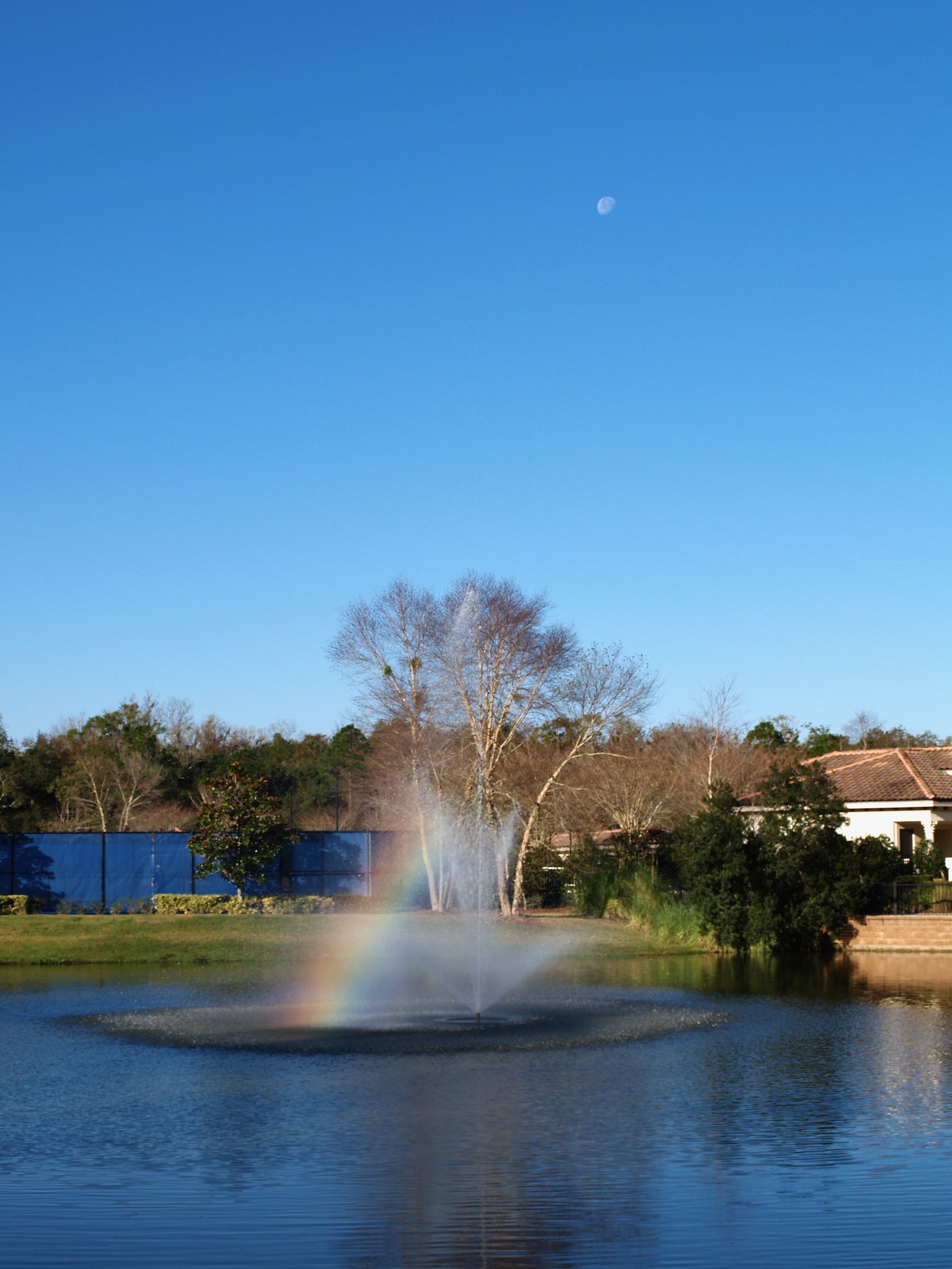 Color photo of a rainbow appearing in a fountain spray in a retention pond with the moon overhead.