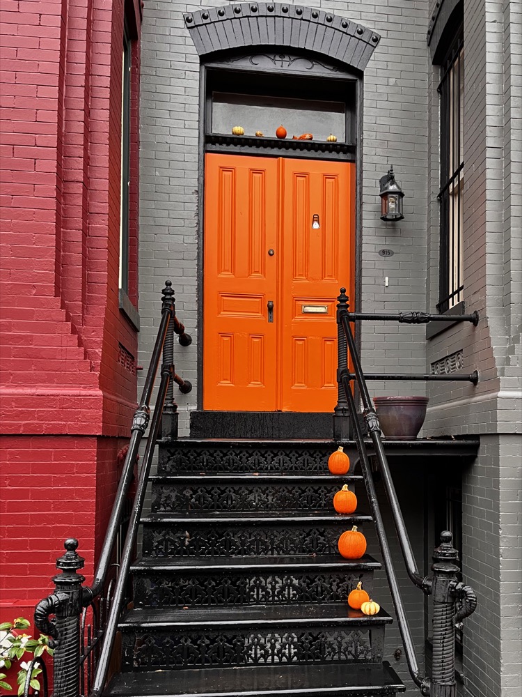 A row of pumpkins line one side of a set of stairs leading to a pair of orange doors.