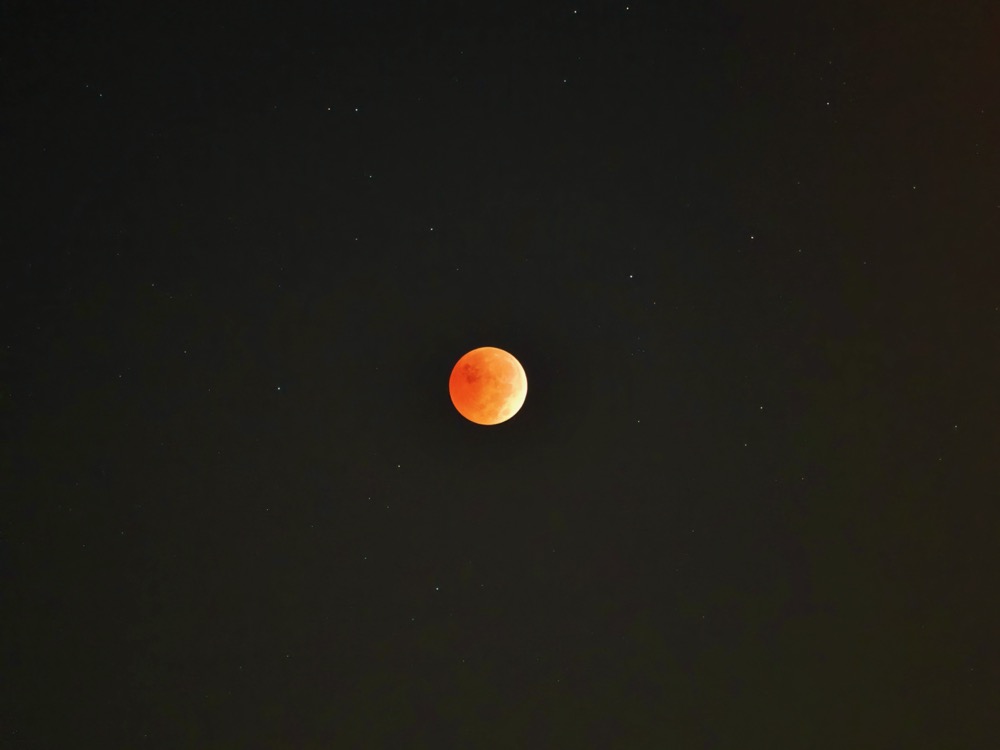 Orange moon lunar eclipse in a field of stars