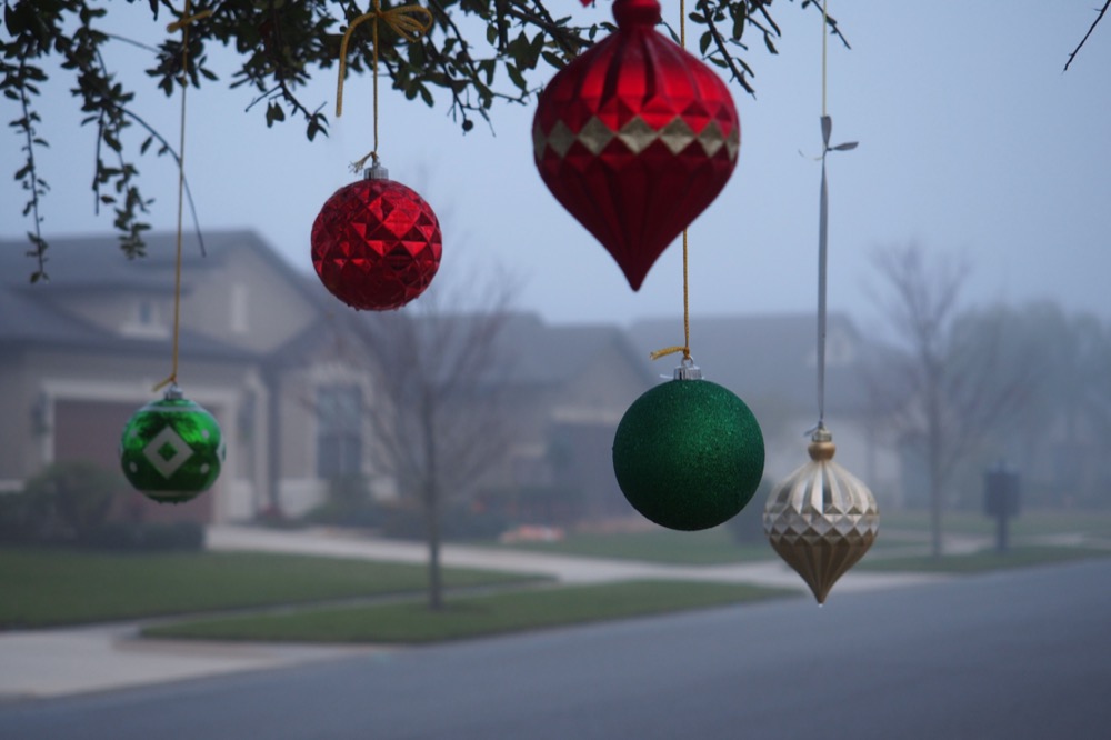 Picture of some large Christmas tree ornaments hung from a tree alongside a suburban street