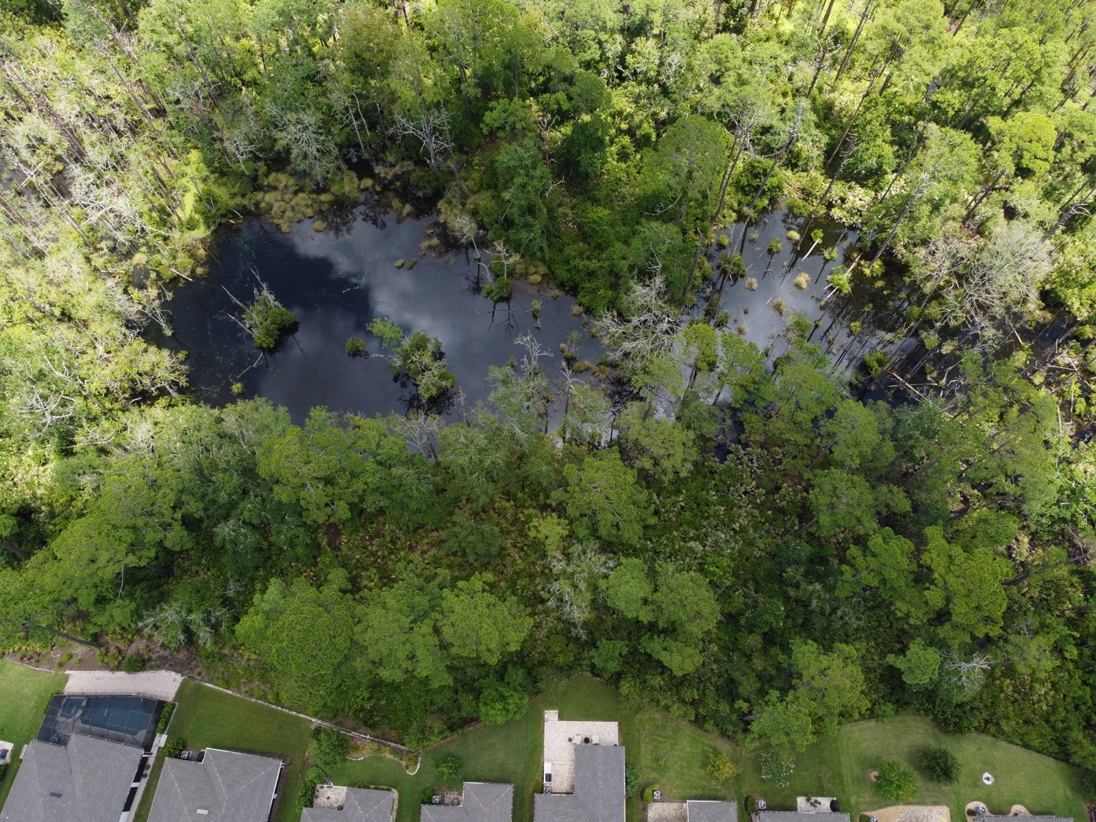 Photo from a DJI Mini-2 drone of open water in a swamp behind a suburban development.