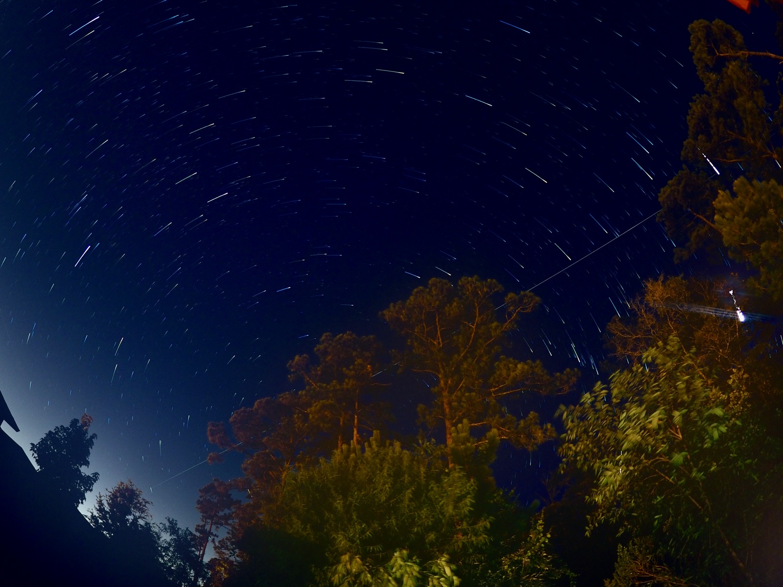 Light trail of the International Space Station over Nocatee amid star trails and a trees in the bottom right half of the frame.