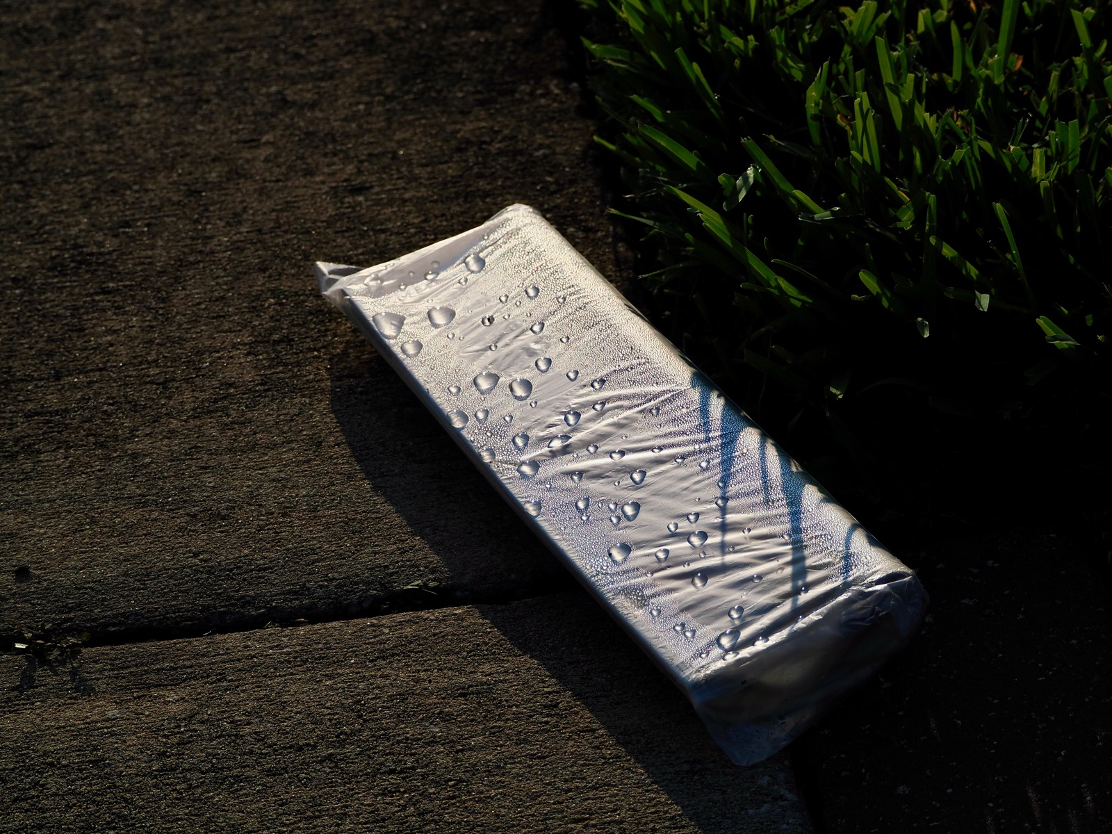 Image of water droplets on the plastic bag enclosing a folded paper lying on the sidewalk next to some grass