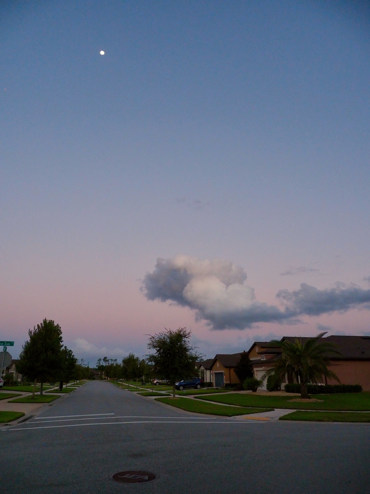 Suburban landscape wide-angle, portrait orientation, waning gibbous moon upper left corner, low cloud softly illuminated above the houses.