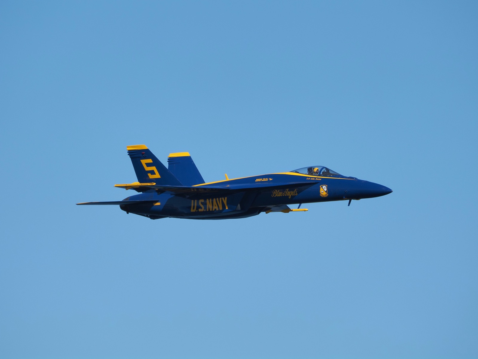 Telephoto closeup image of the number 5 ship of the Blue Angels squadron with the pilot clearly visible in the canopy.