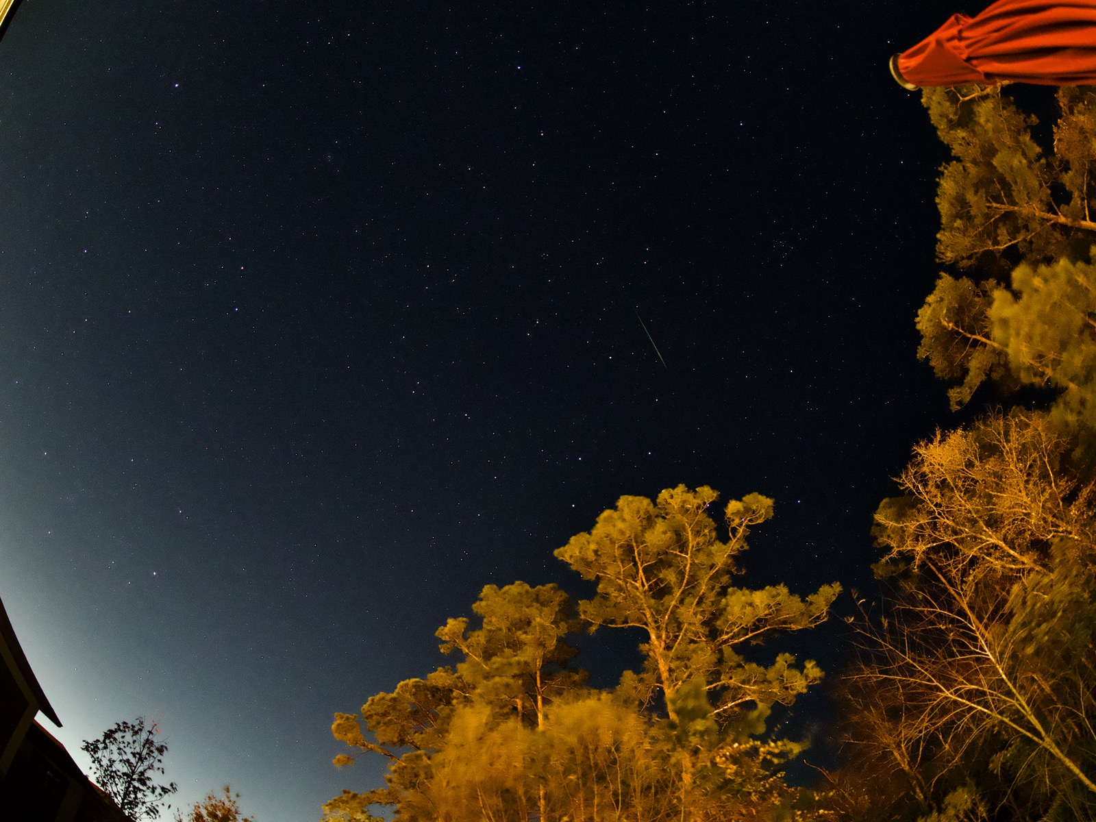 Fisheye view of the stars in the night sky with a meteor streak  toward mid-frame in the upper right.