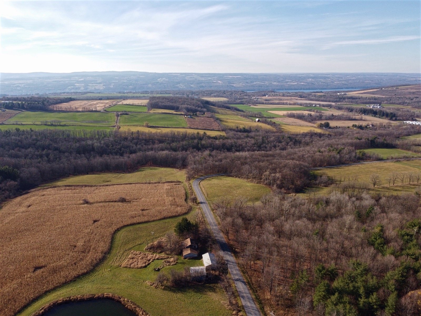 Aerial view of rural farmland with Seneca Lake in the distance