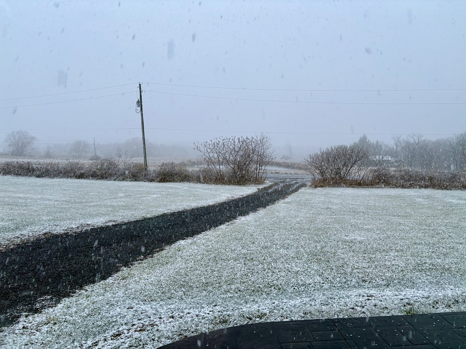 Snow beginning to accumulate on a rural lawn