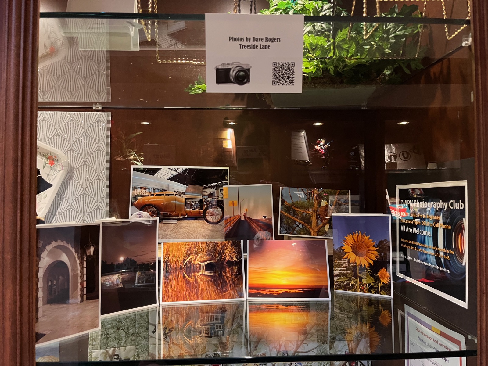 Photo of some photo card prints in a glass case