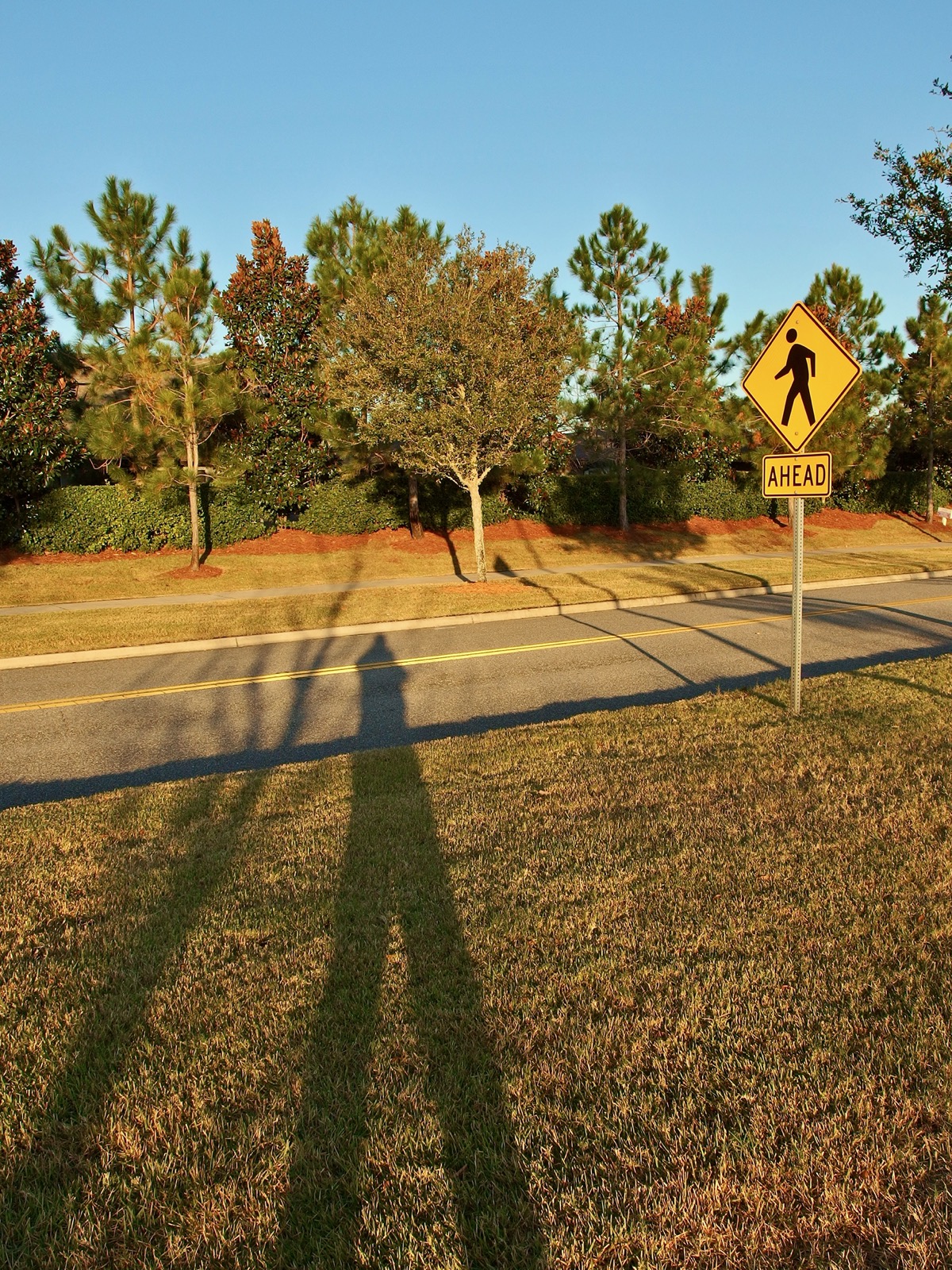 A couple of shadowy figures. The 