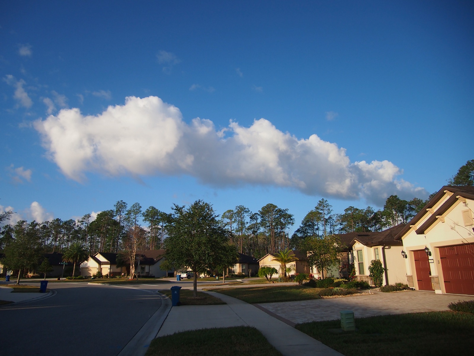 Cloud train over a suburban landscaped illuminated by low morning sun.
