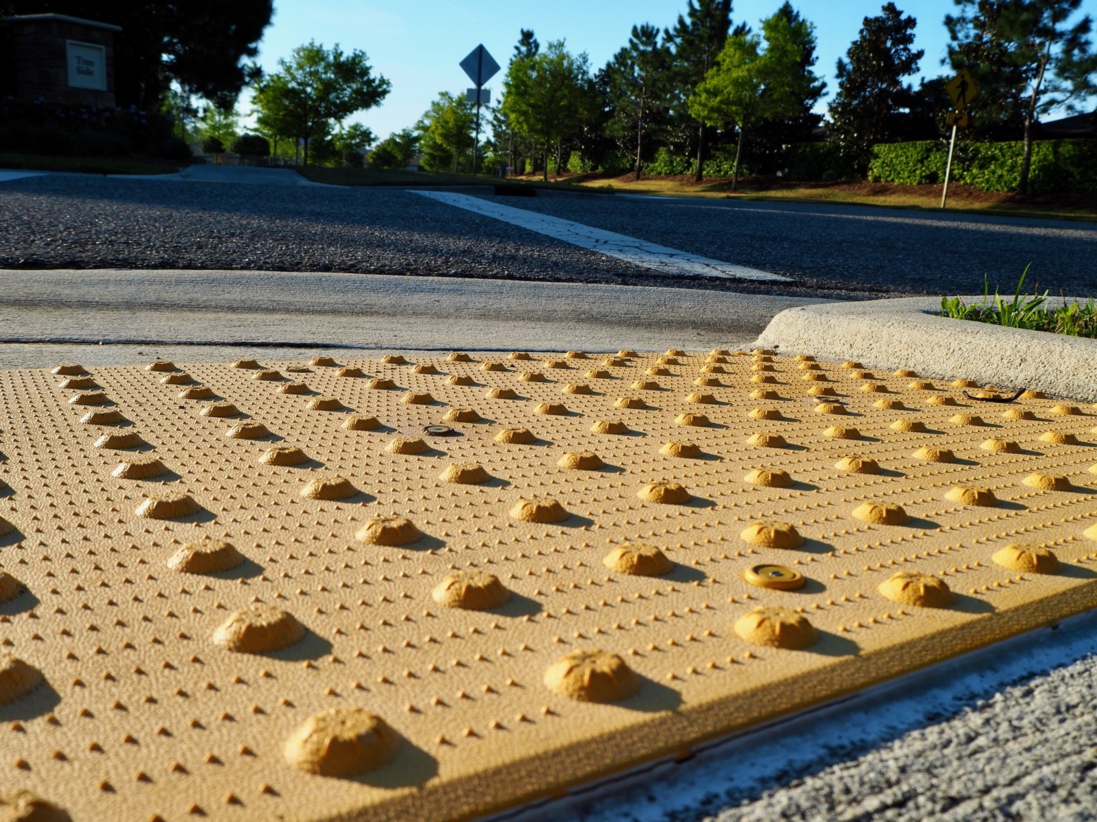 Closeup of a yellow detectable warning surface at a crosswalk from a low angle.
