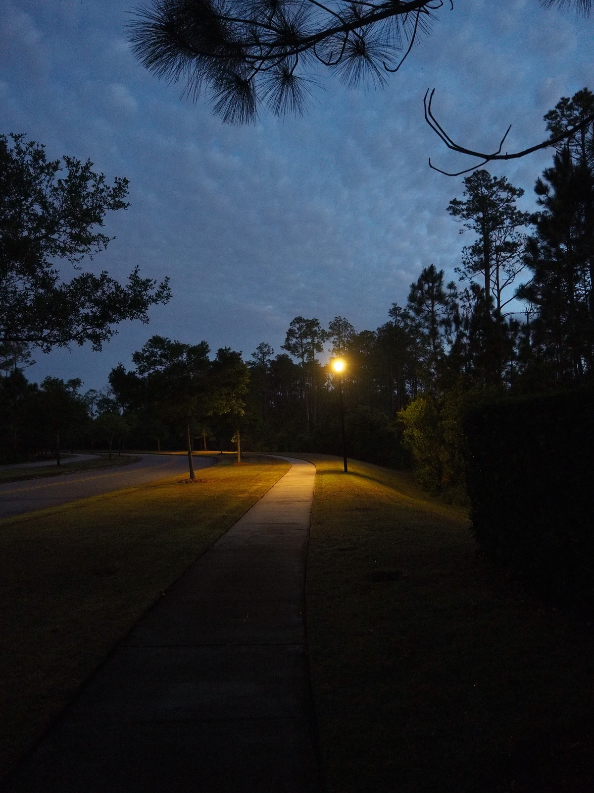Photo of a street lamp above a sidewalk in a suburban landscape in the early morning twilight