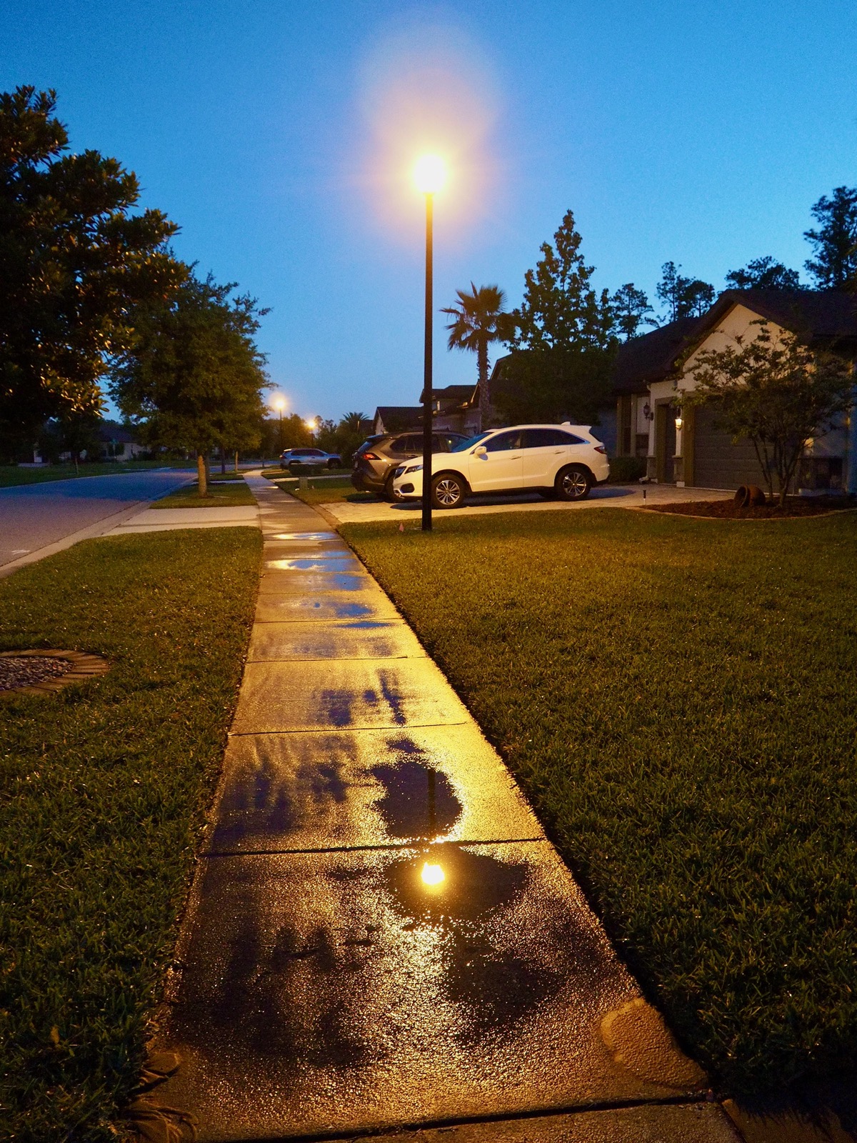 Street lamp reflected in a sidewalk wet from lawn sprinklers with cars in driveways