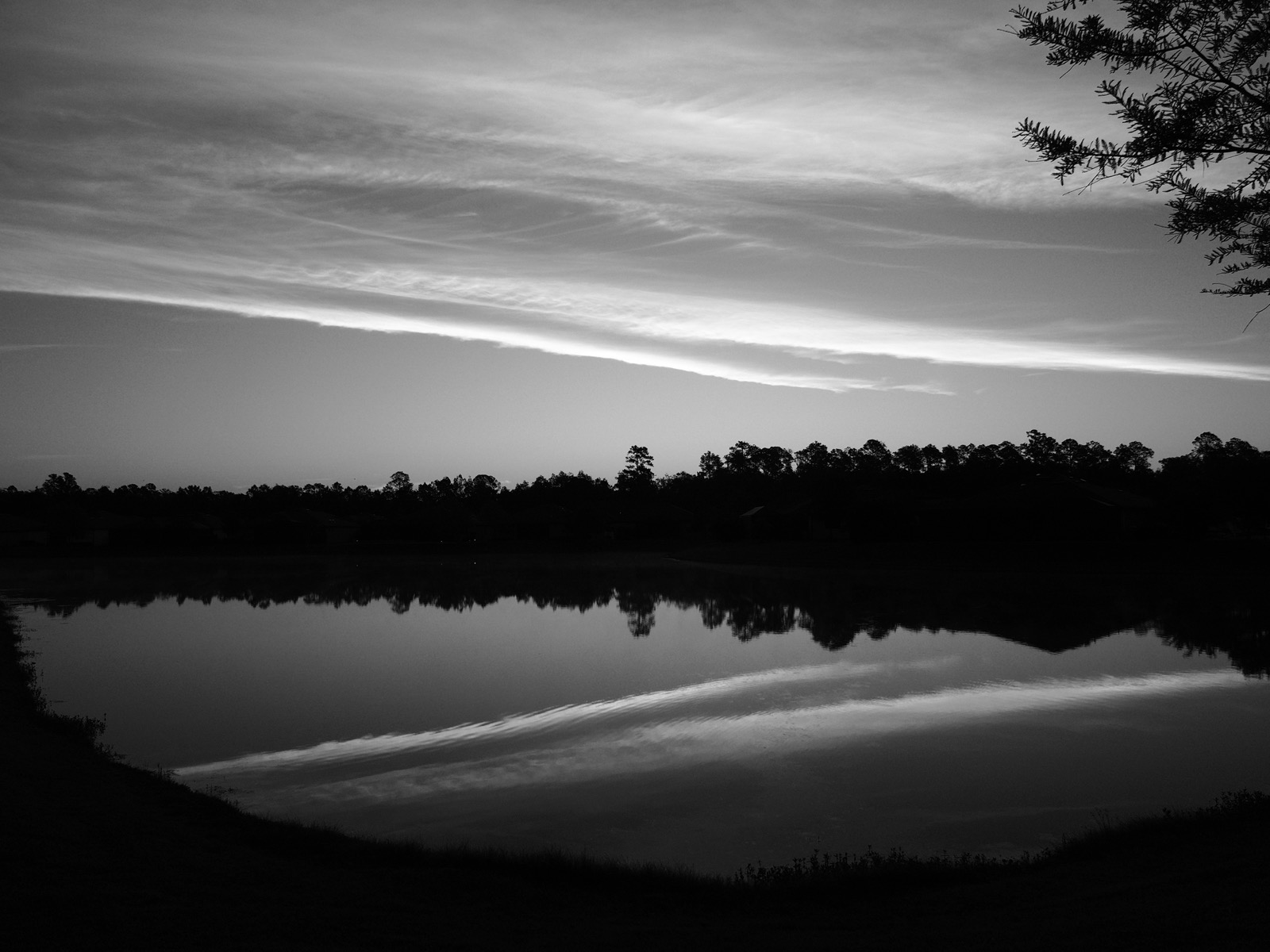 B&W image of spreading contrails in the sky reflected in a suburban retention pond