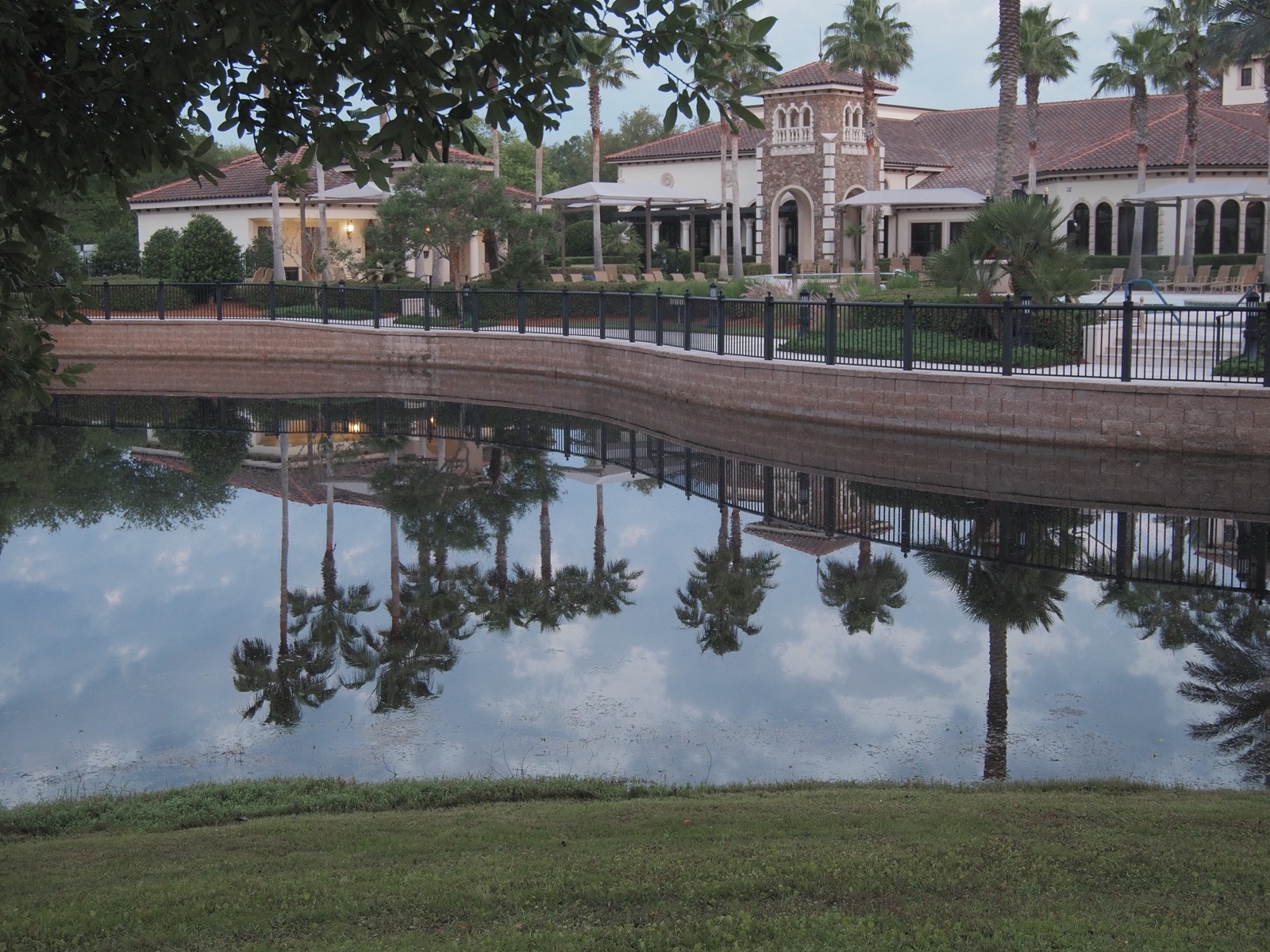 Palm trees lining the resort-style pool, reflecting in the surface of a retention pond