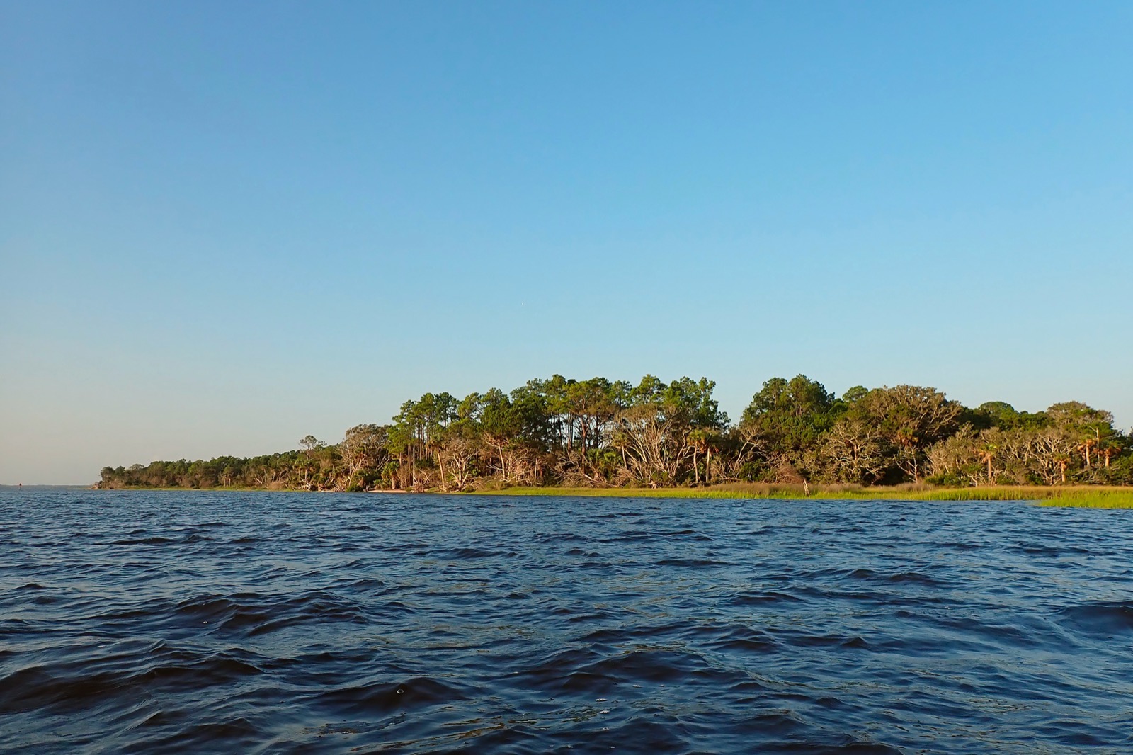 Photo of the western shore of the Tolomato river from a kayak