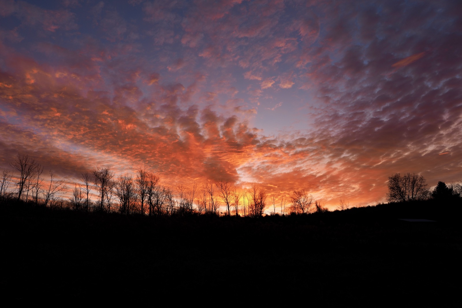 Clouds illuminated from beneath in red light, silhouettes of trees in the background