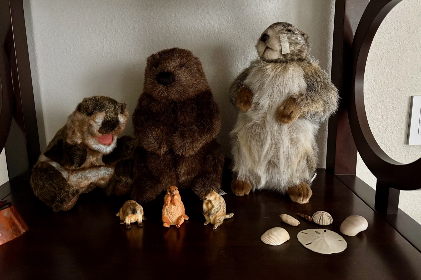 Photo of three plush woodchuck toys and three small resin woodchucks on a shelf