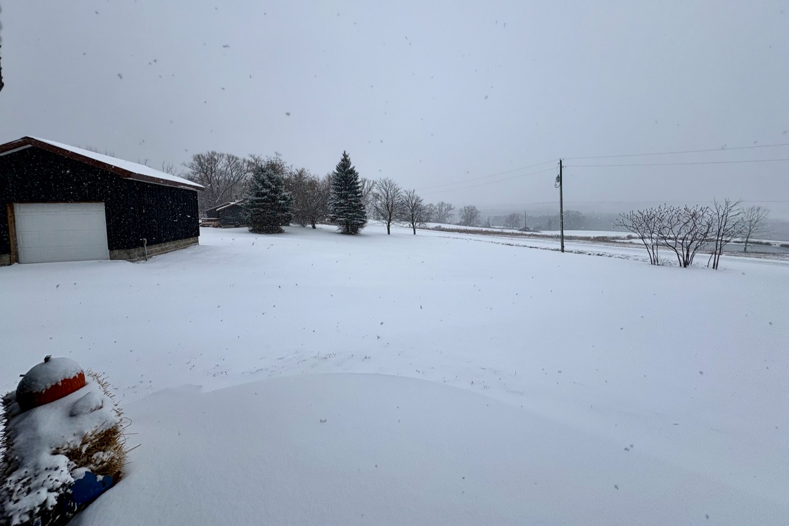 Snowy rural yard in New York.