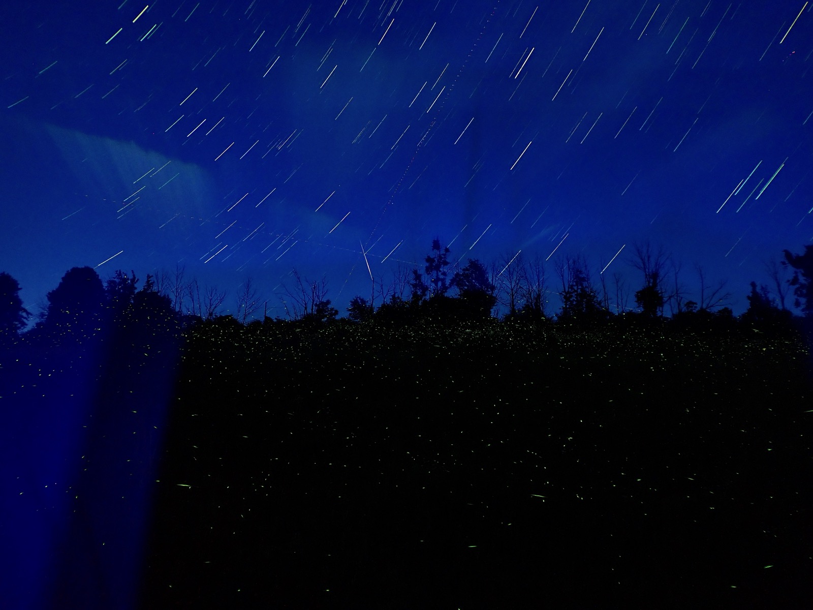 Live composite image of the light trails left by fireflies in the grass with star trails in the sky