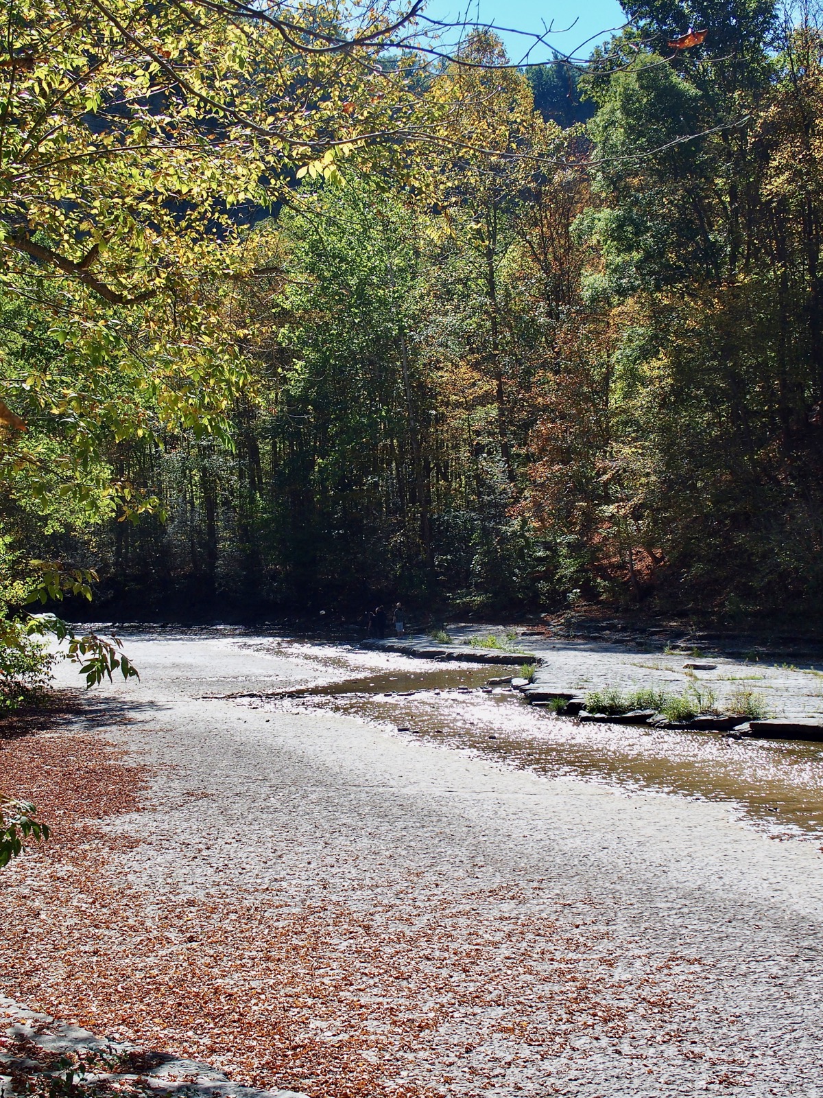 Taughannock Creek in the state park of the same name. Low water level, leaves in the bed, fall colors framing the water