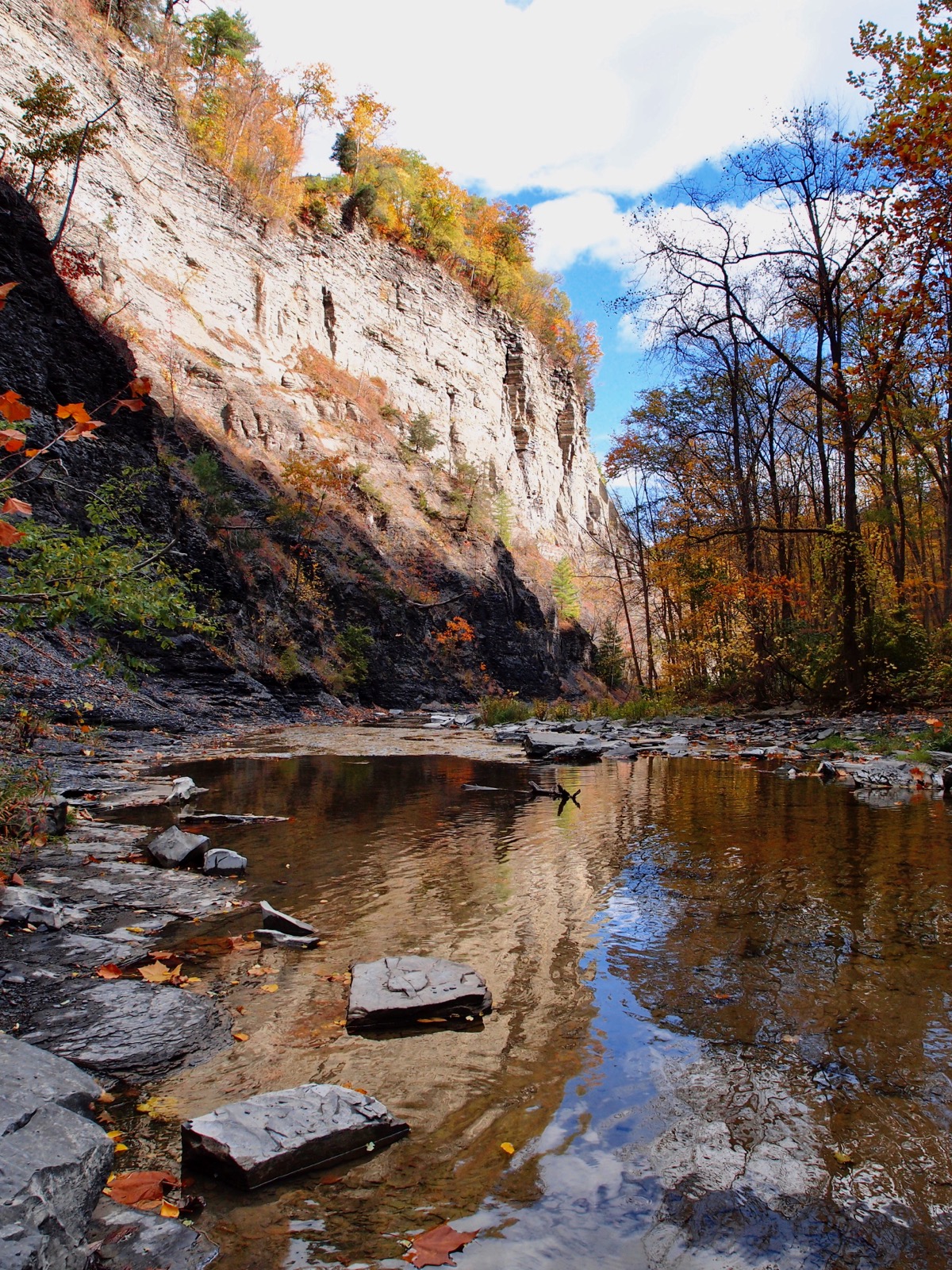 Photo of the gorge at Taughannock falls
