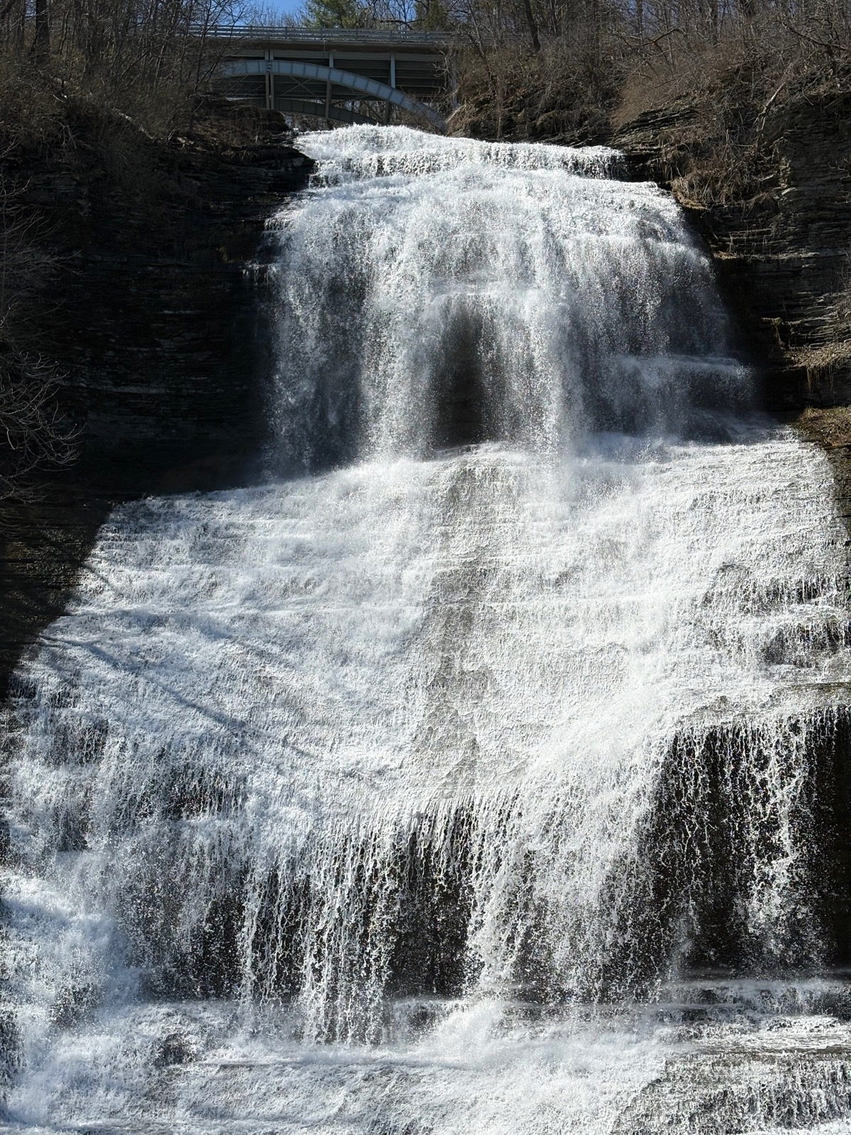 Chequaga Falls in Montour Falls NY
