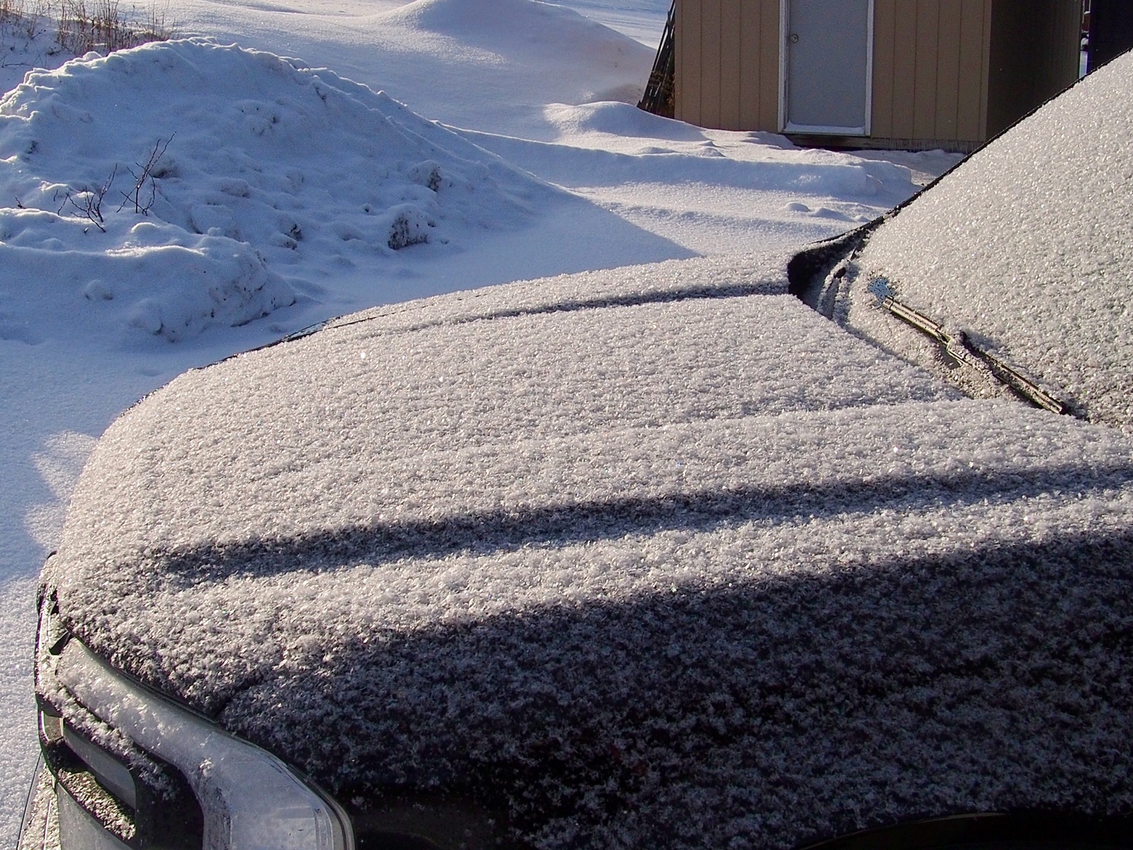 Tight shot of the hood of a Ford Maverick covered with large snowflakes.