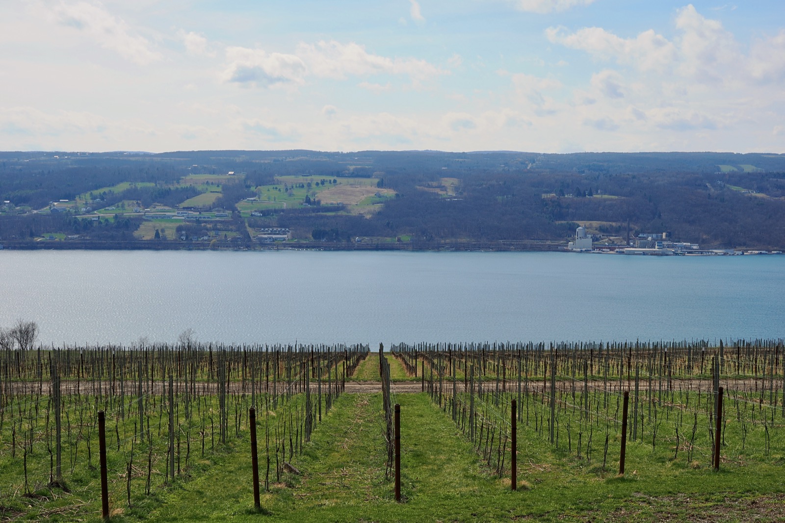 Seneca Lake from the east shore at Hillick and Hobbs vineyard