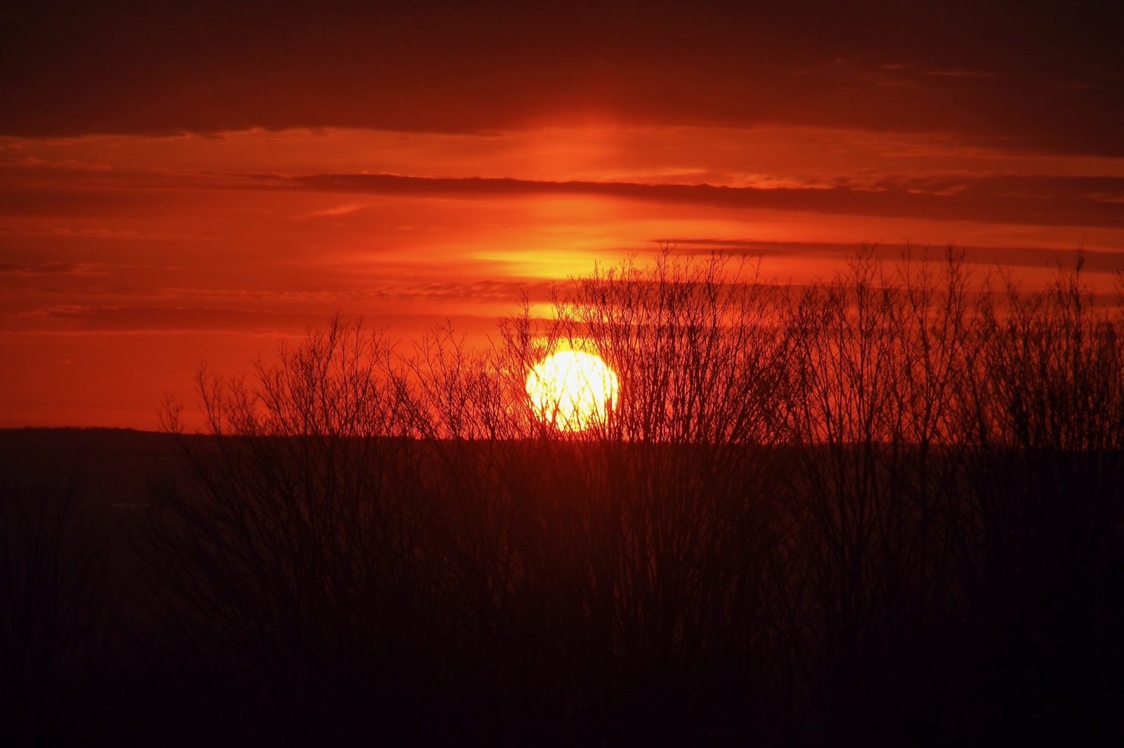 Yellow-orange solar disk just above the horizion with a yellow column rising above it against orange-red clouds