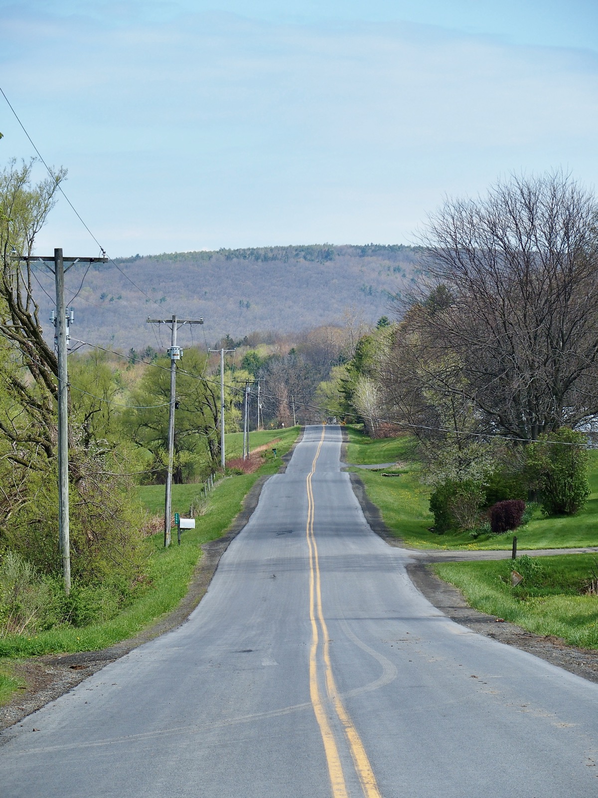 Telephoto shot of a two-lane rural road line with power poles, trees, bushes and grasss