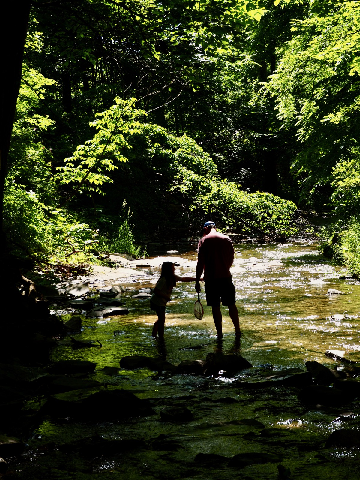 Man and a small child standing in a stream with man holding a small net and the child reaching toward him.