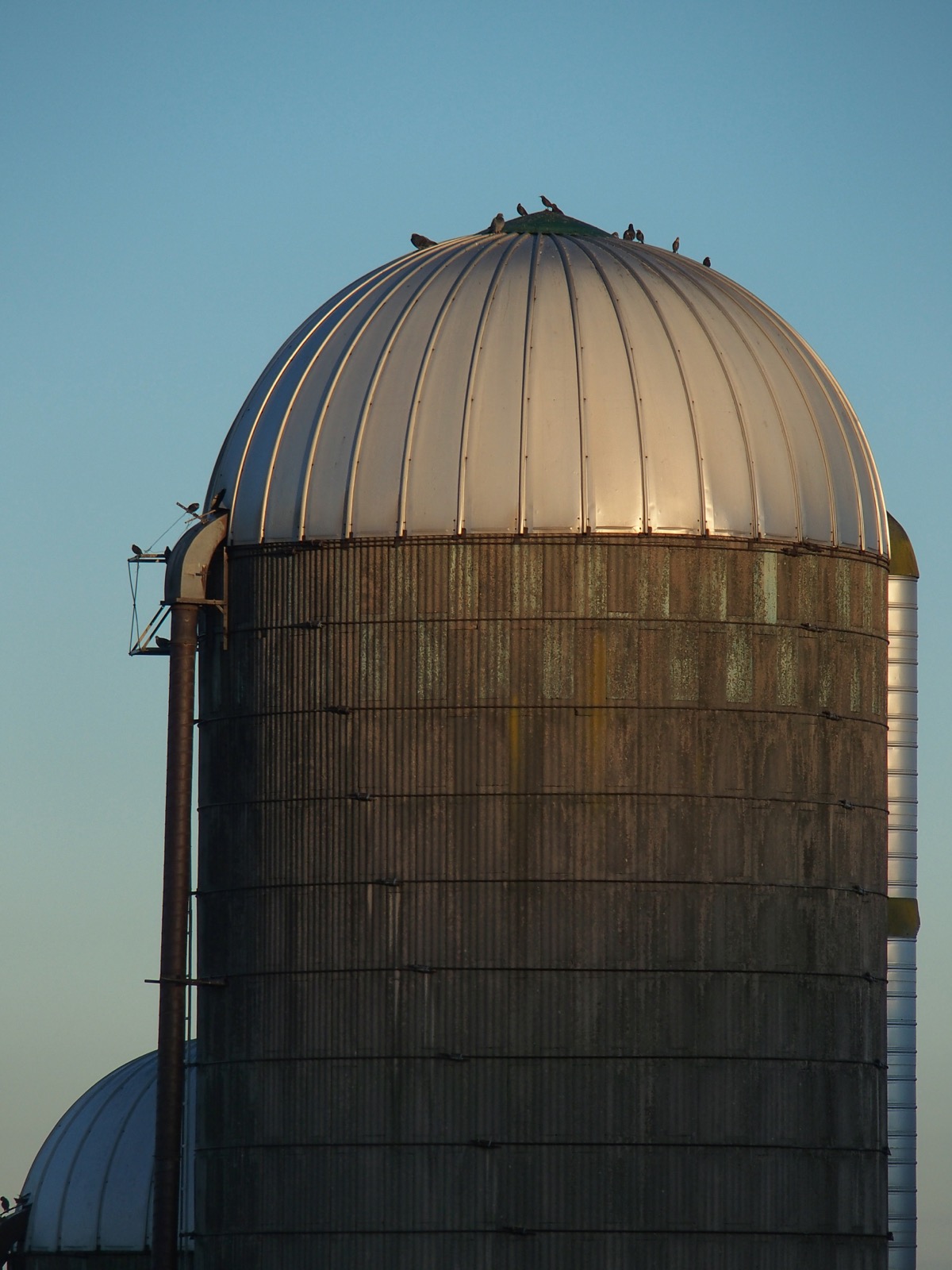 A barn silo, the dome illuminted by the rising sun, the lower part still in shadow.