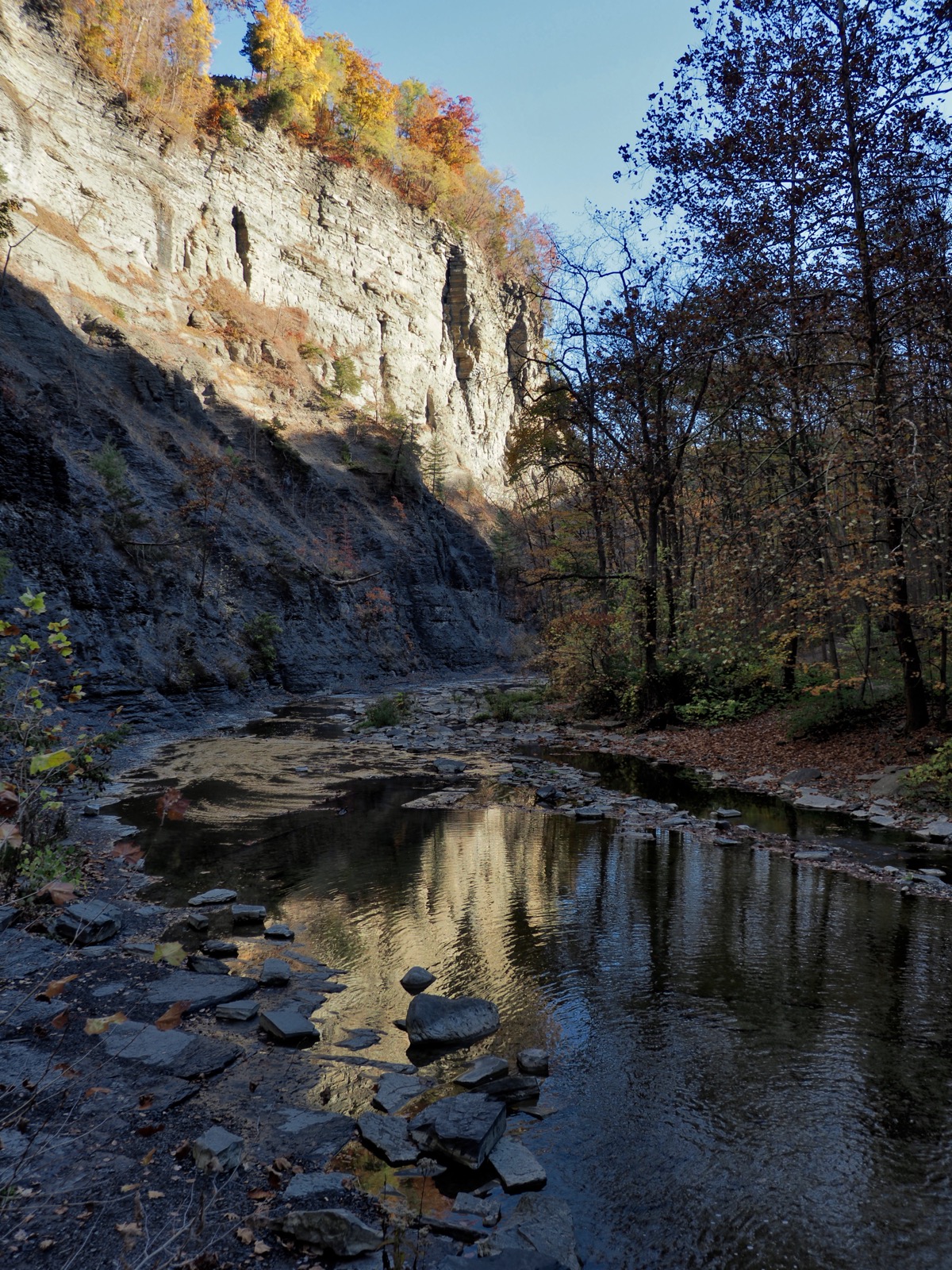 Looking back down the gorge from the falls 